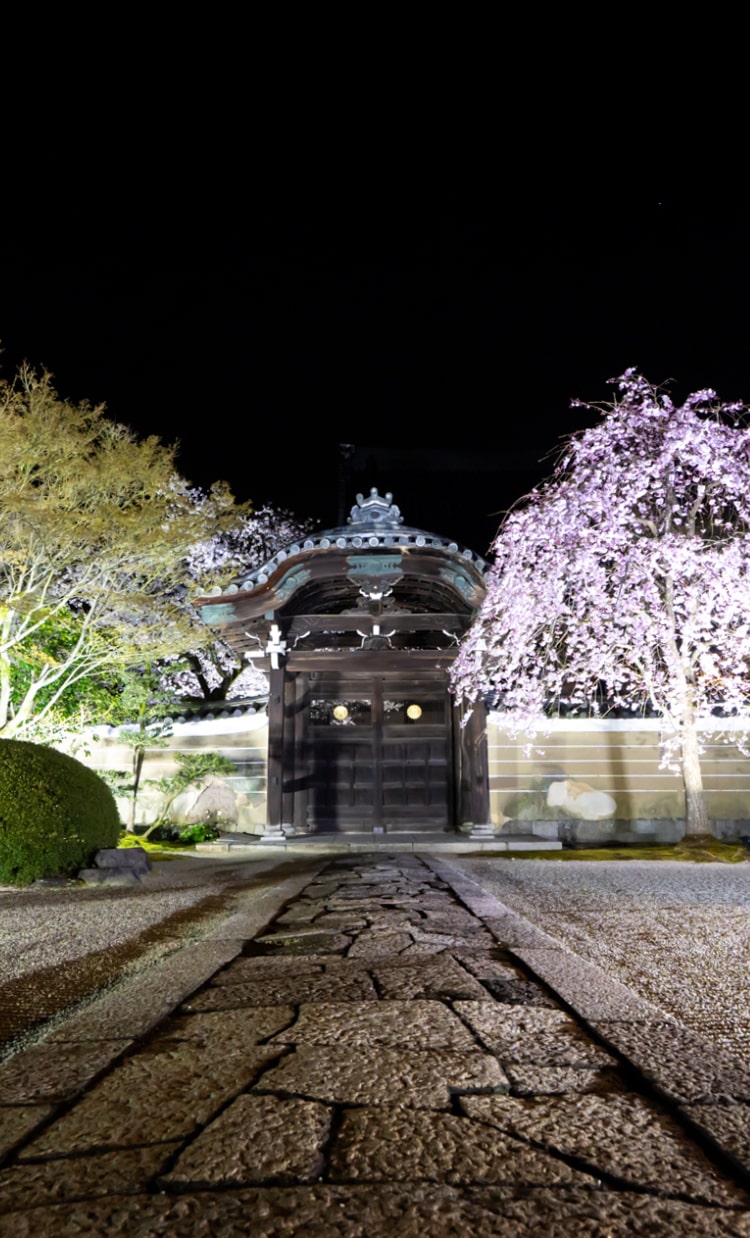 見どころ - 京都｜日蓮宗大本山 妙顯寺